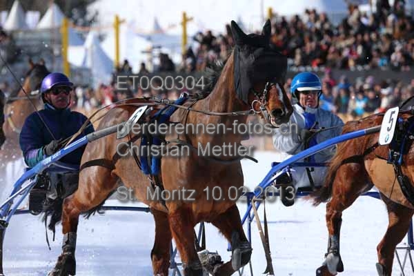 ET0Q0304 prot